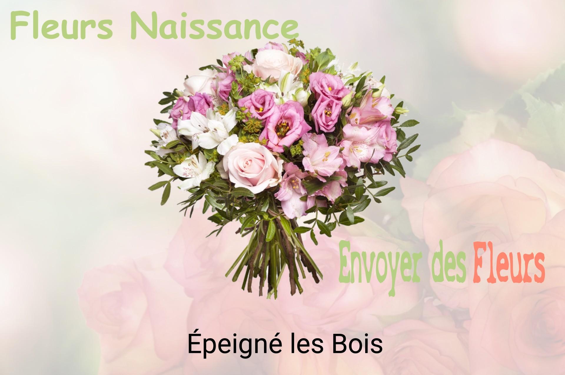 Bouquet de fleurs de naissance livré à Épeigné-les-Bois